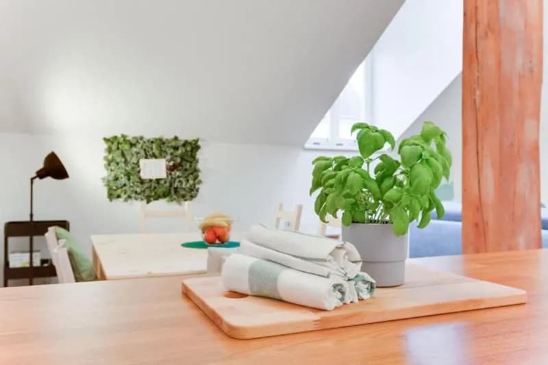 Prague Byt 20 Apartment - photo 5