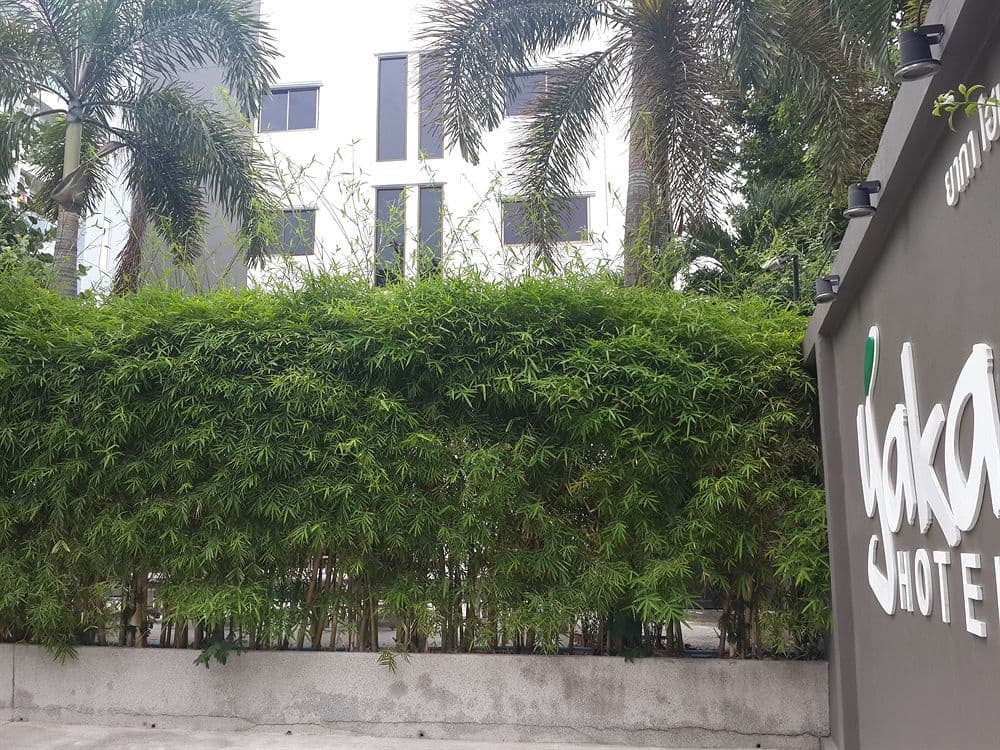 Yaka Hotel - photo 1