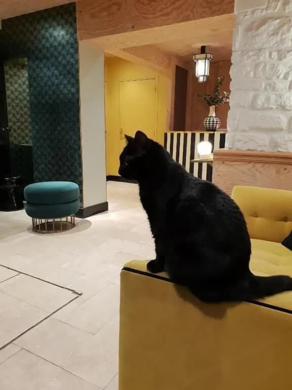 Hotel Denfert Montparnasse - photo 14