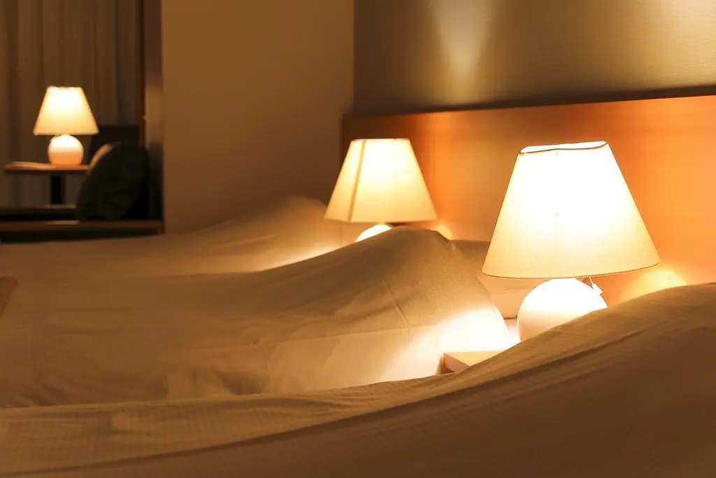 Meldia Hotel Kyoto Nijo - photo 4