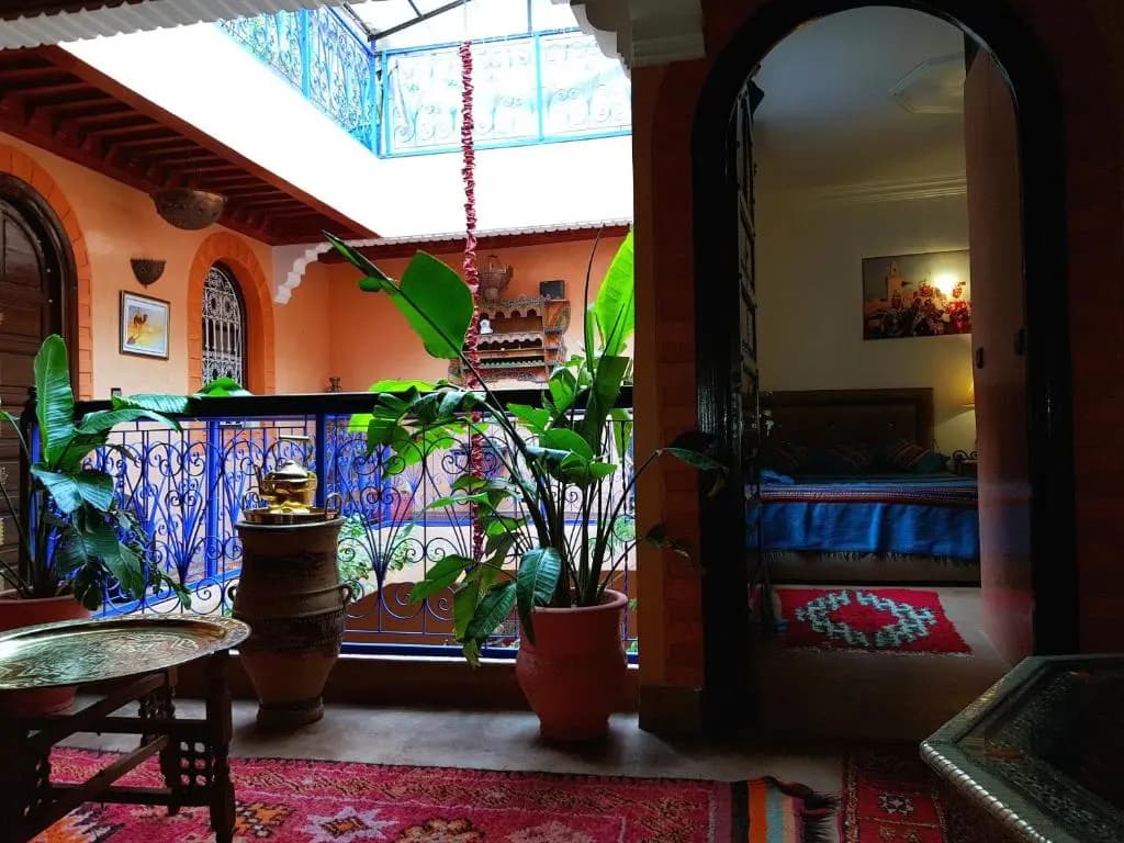 Riad Konouz - photo 1