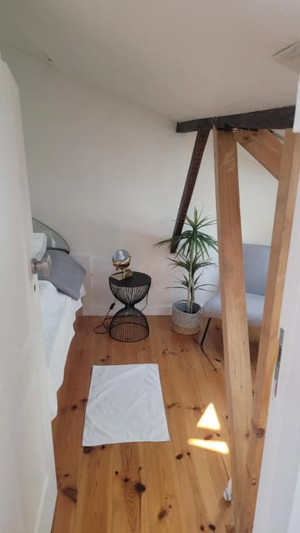 Litle Tiny Room in the Attic - photo 6
