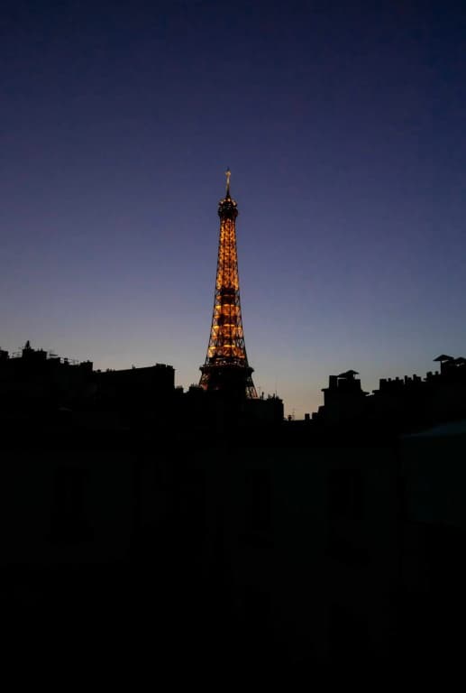 Eiffel Rive Gauche Hotel - photo 19