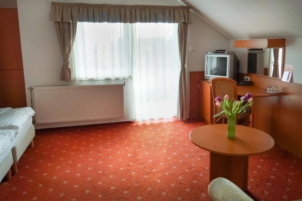 Korona Hotel Panzio - photo 5