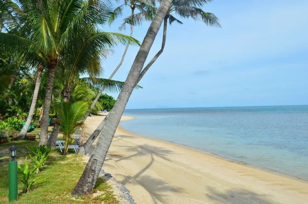 Green Coconut Village A4 - photo 15