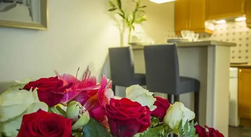 Louvre  Bed And Breakfast - photo 5