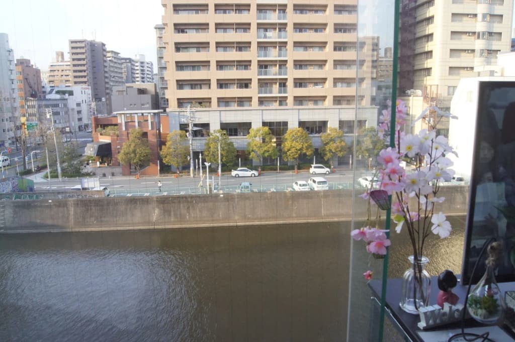 Sakuragawa Riverside Hotel - photo 9