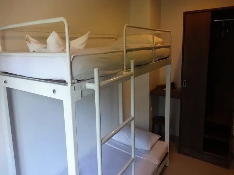 Five Elephant Hostel - photo 3