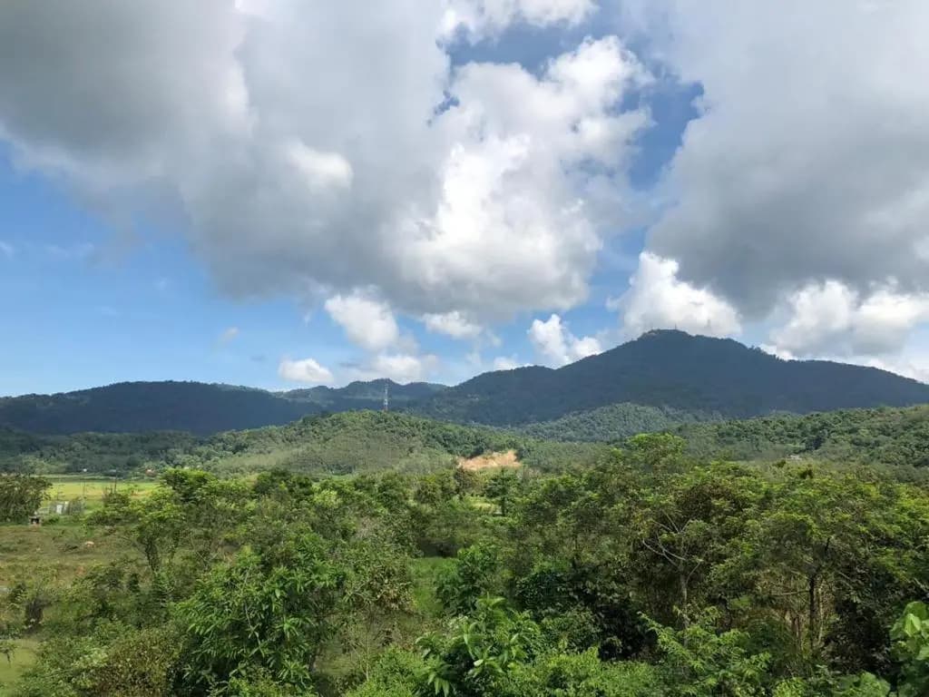 White House Langkawi - photo 6