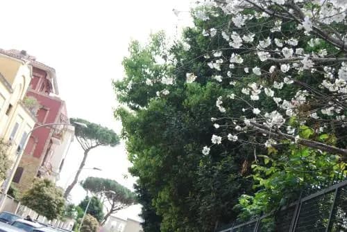 Casalalla - photo 10