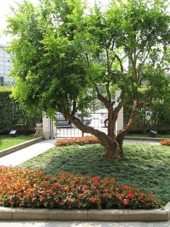 Residence Le Corti - photo 13