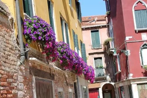 Calle dei Preti - main photo