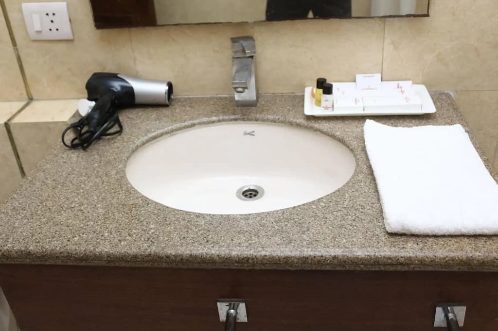 Goodwill Hotel Delhi - photo 8