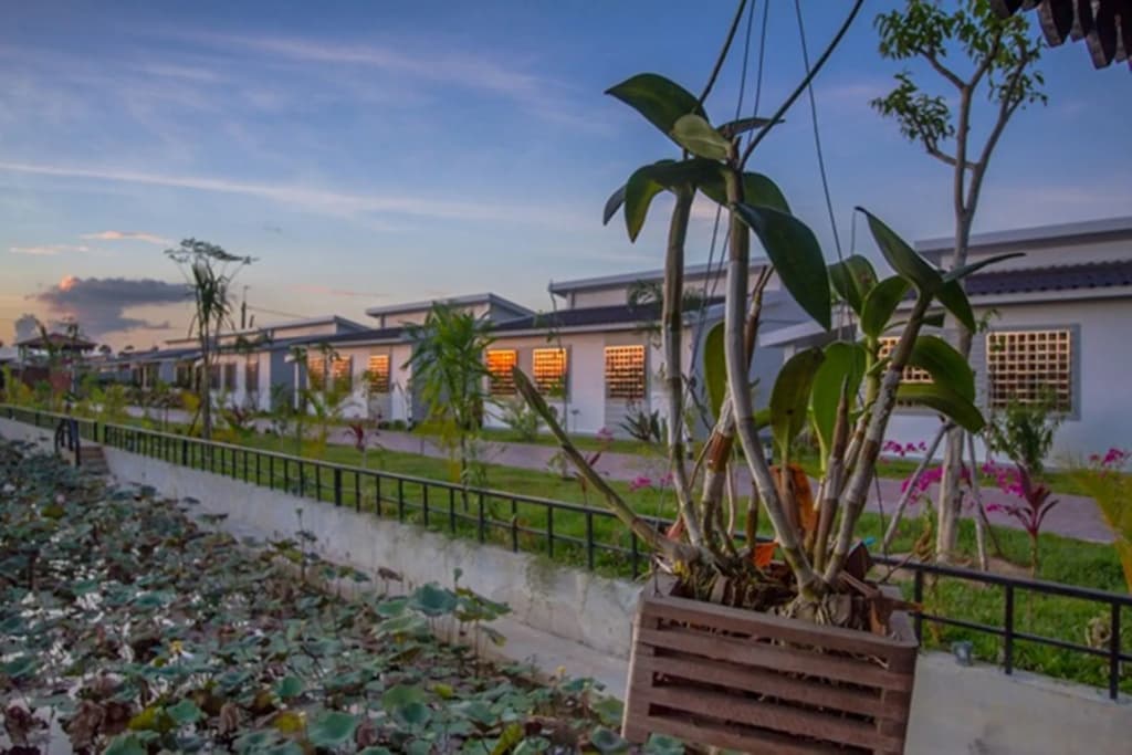 Ry's Lotus Resort d'Angkor - photo 15