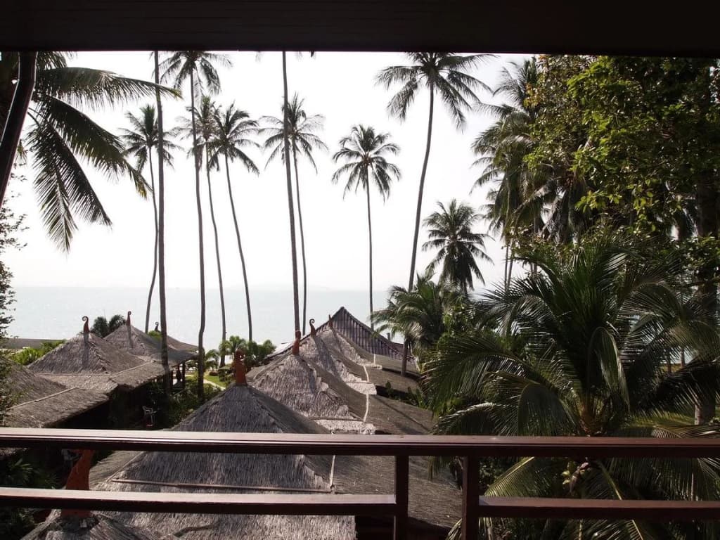 Lipa Bay Resort - photo 14