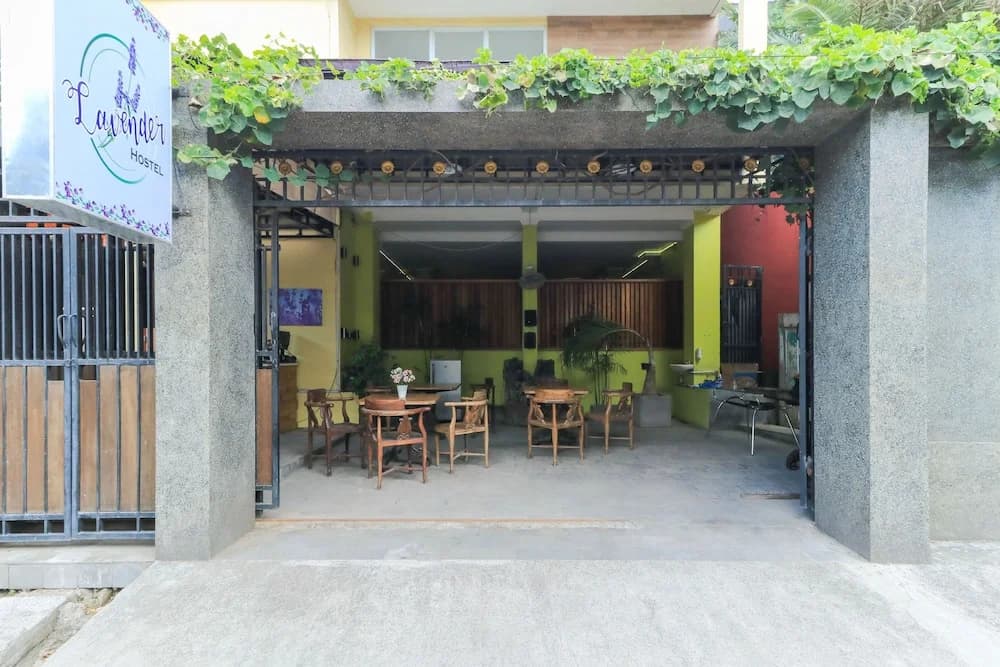 Lavender Hostel - photo 24