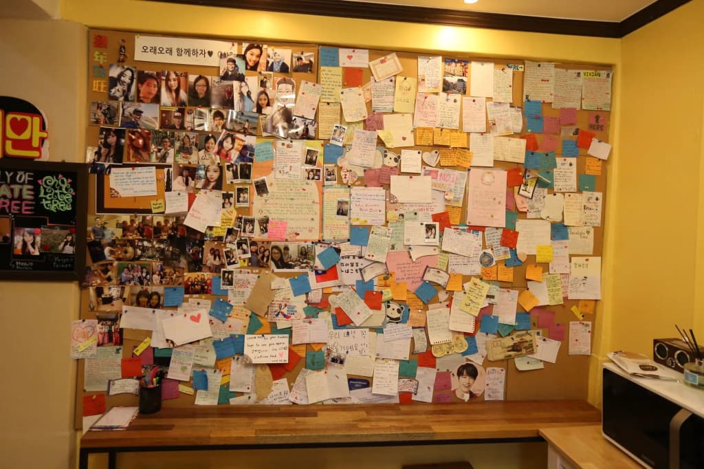 Chocolate Tree - photo 19