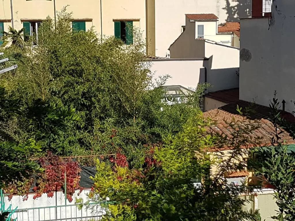 duallook - main photo