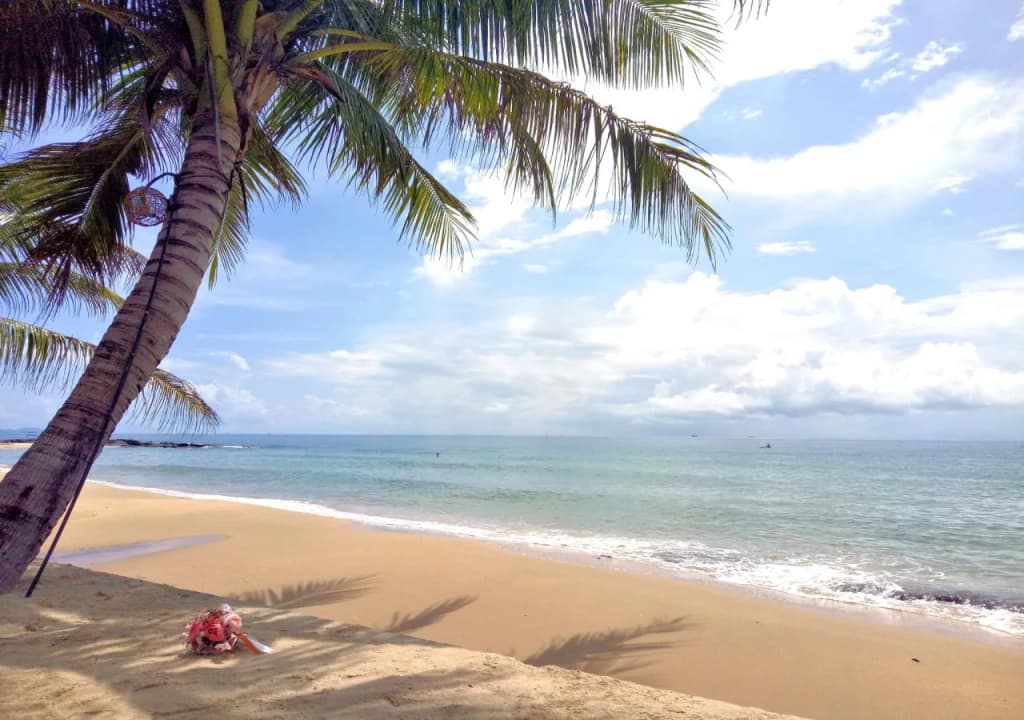 Ancarine Beach Resort - photo 17