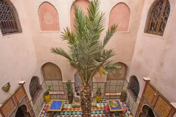 Riad Mostafa - photo 10