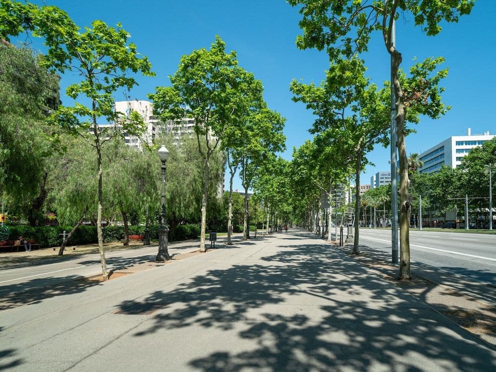 Limehome Barcelona Carrer de Fontcoberta - photo 13