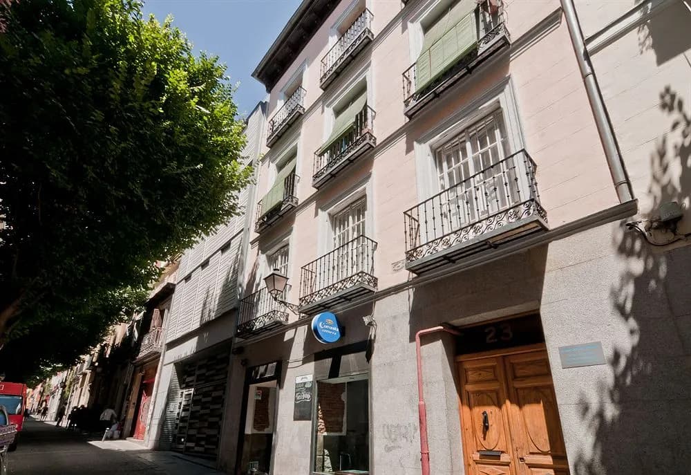 Olmo - photo 1