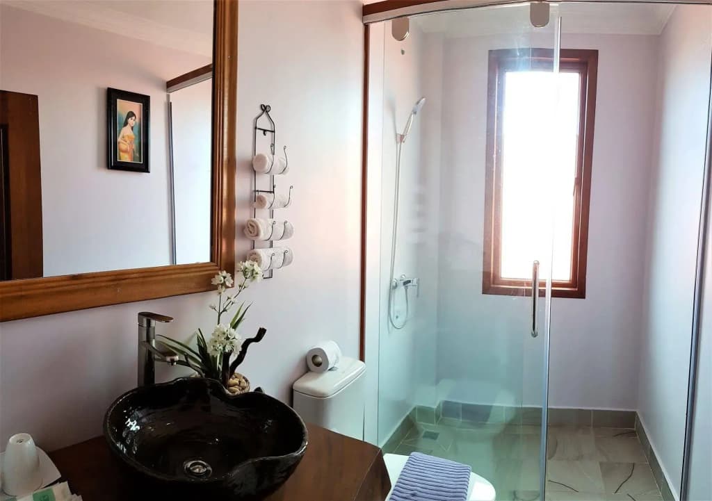 The Seda Villa - photo 6