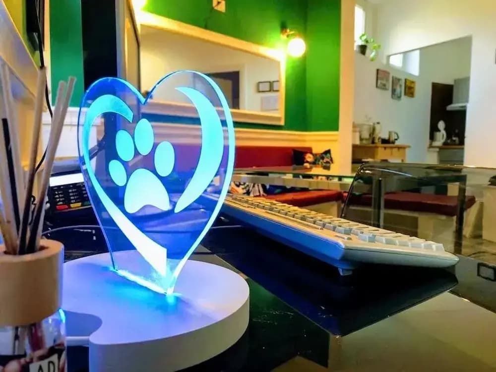 Rome Billabong Hostel - photo 9