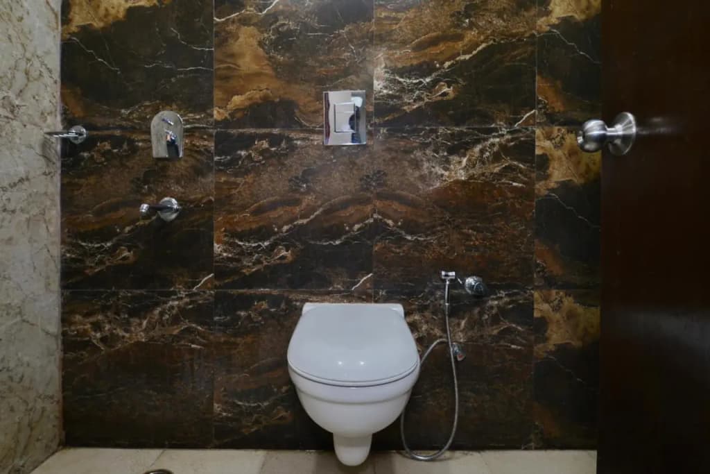 Hotel Kabeer Deluxe - photo 9