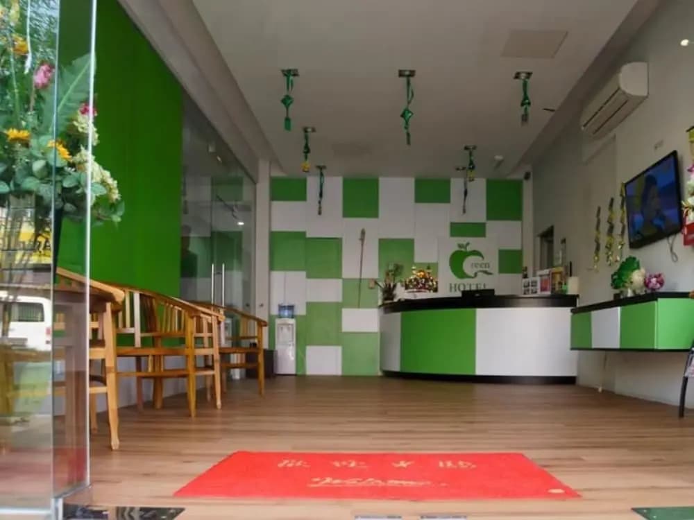 Green Hotel - photo 12