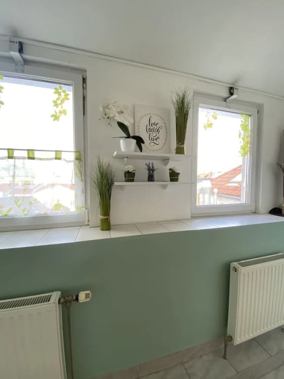 Pension Lizzi - photo 16