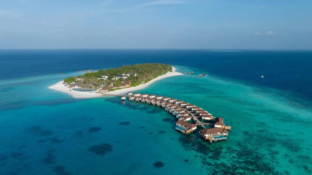 Avani+ Fares Maldives Resort - photo 49