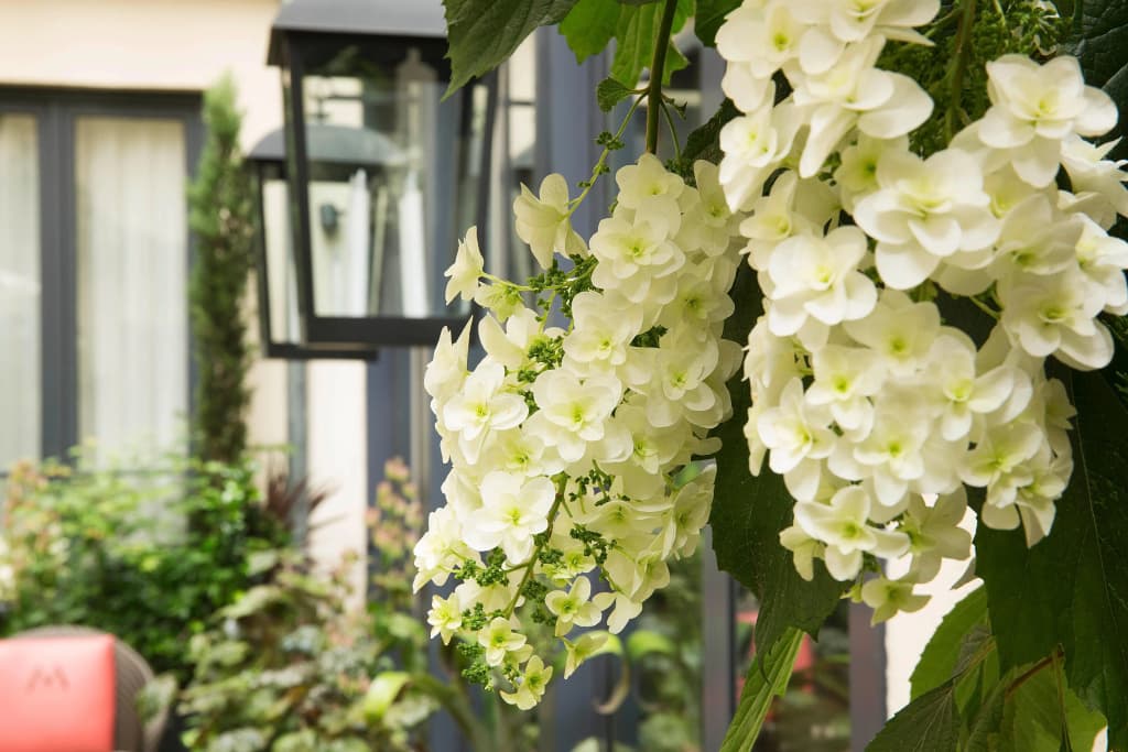 Villa Madame - photo 19