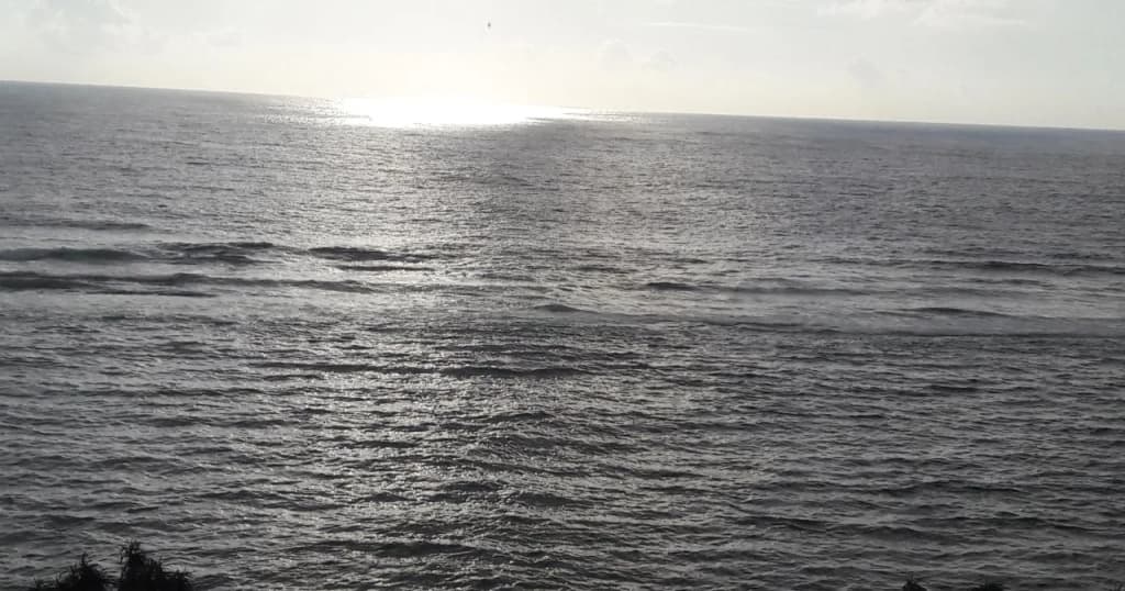 A One The Marine - photo 15