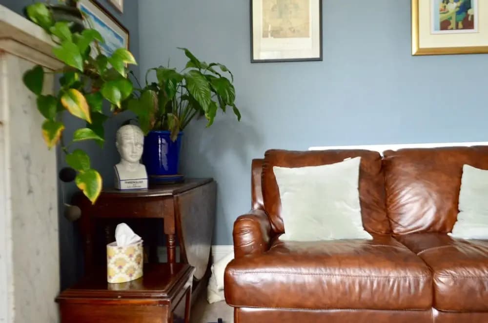 3 Bedroom Family Flat in Newington With Garden - photo 9