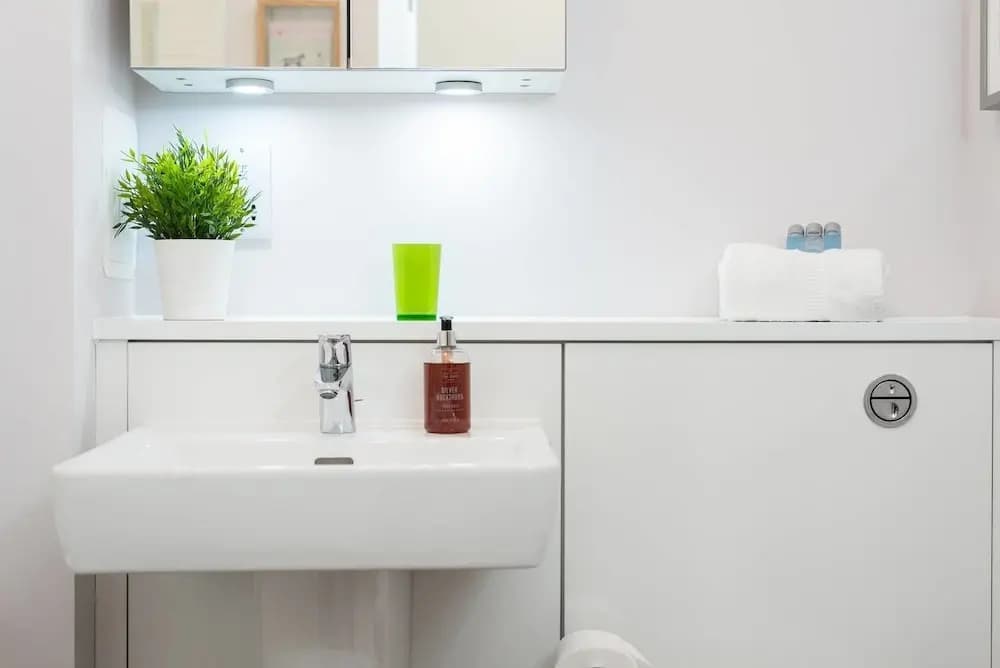 Luxury City Apartment - photo 9