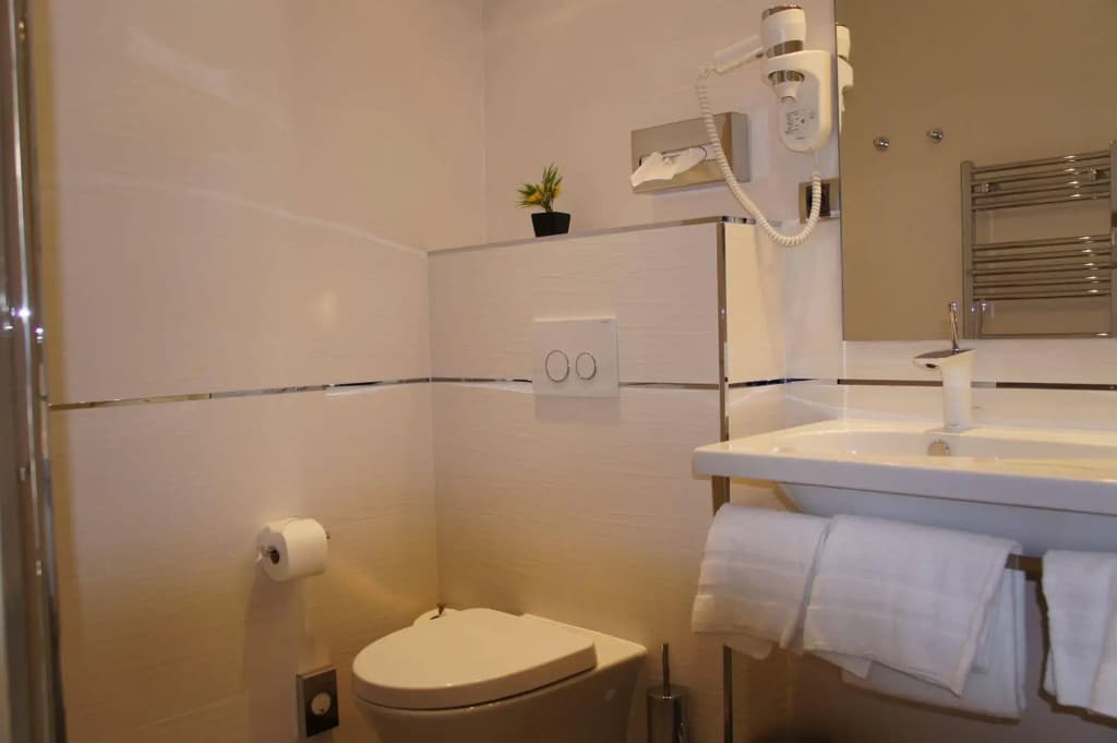 Hotel Ambassador Nice - photo 8