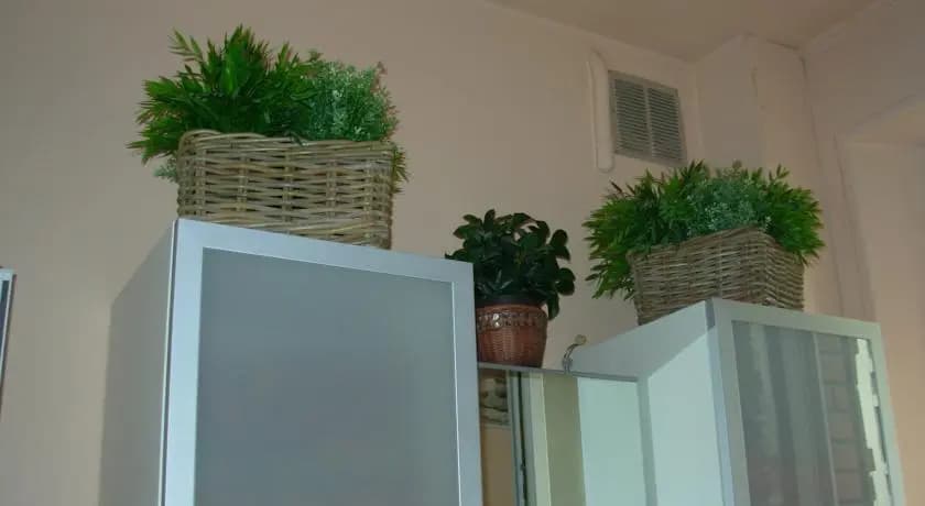 B&B Firenze Campo di Marte 2 - main photo