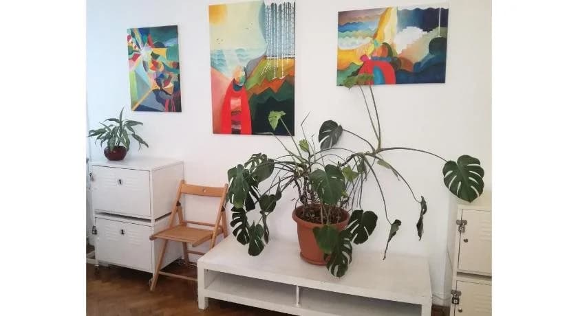 Activity Hostel - photo 13