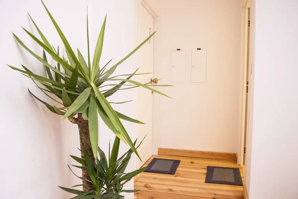 Daora Lisbon Apartaments - photo 1