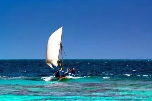 Feridhoo Inn - photo 23