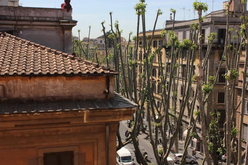 Sole e Luna Bed & Breakfast - photo 20