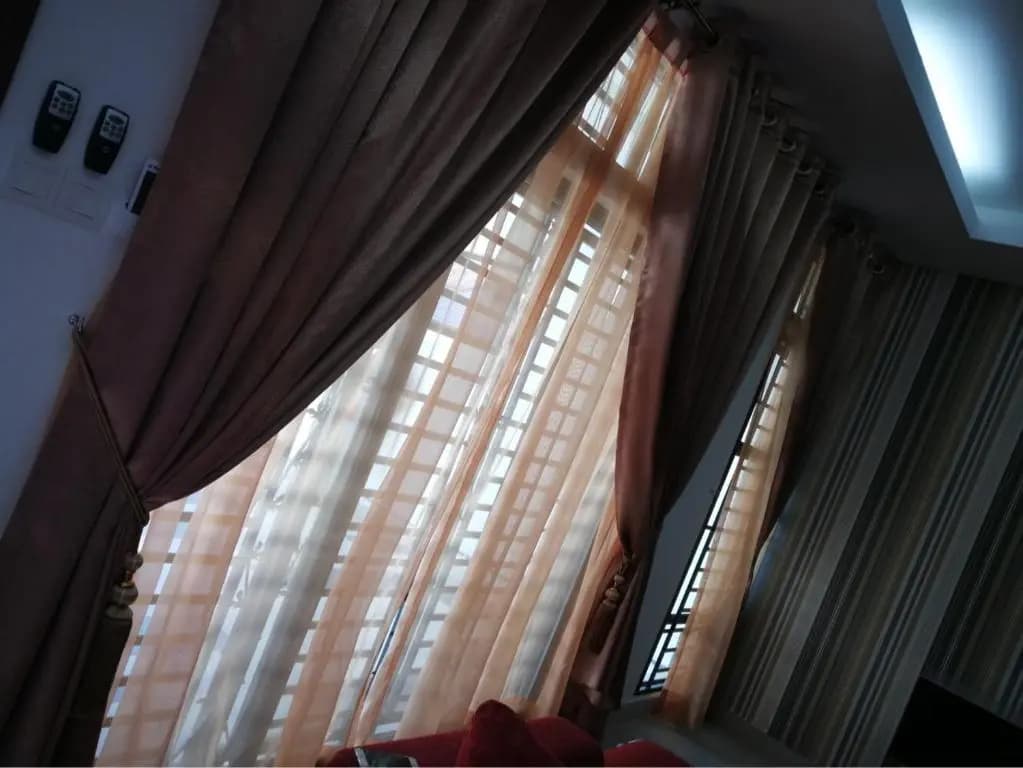 Aryan Homestay - photo 3