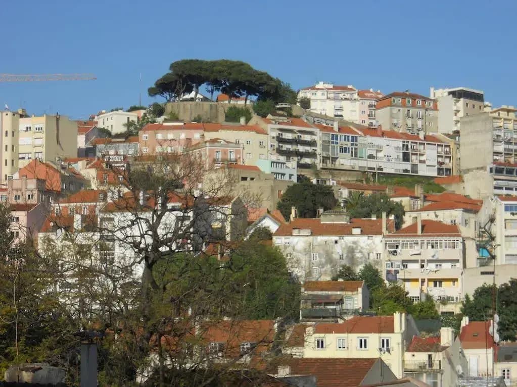 Martim Moniz Apartment - photo 9