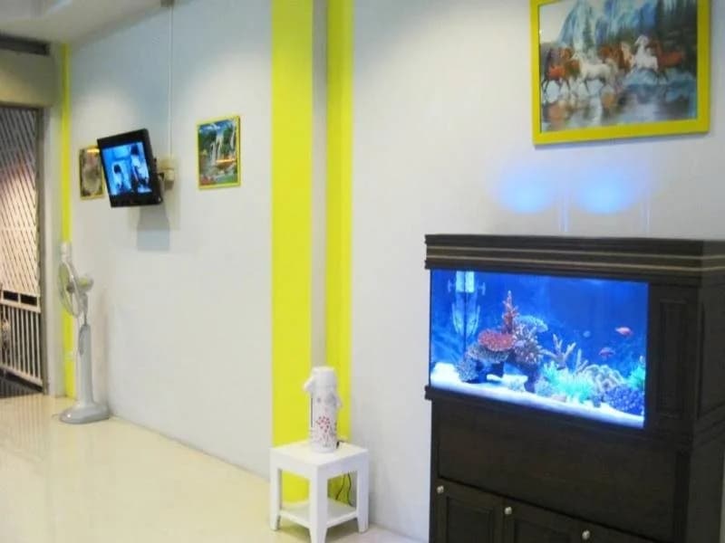 BR Guest House - photo 10