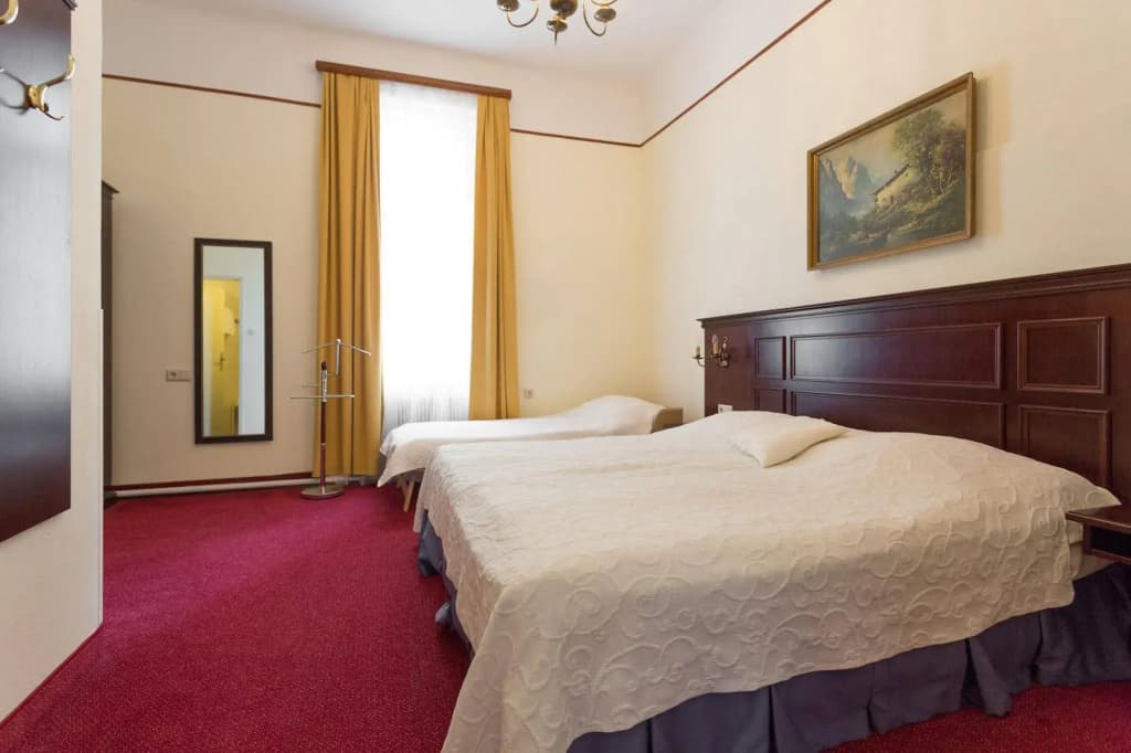 Hotel Viktoria Schönbrunn - photo 6