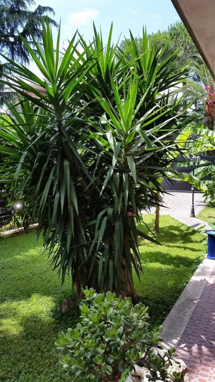 Il Giardino di Giulia 2 - photo 6