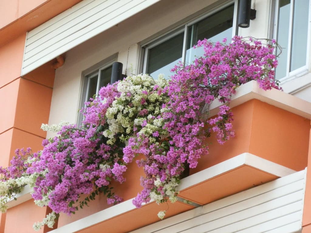 Sandy Serviced Apartment - photo 15