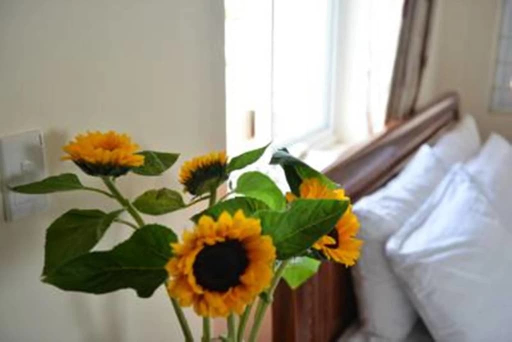 Vien Dong 2 Guesthouse - photo 5