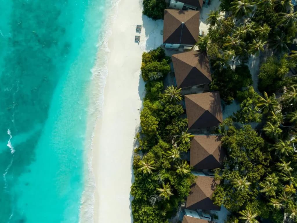 Avani+ Fares Maldives Resort - photo 47